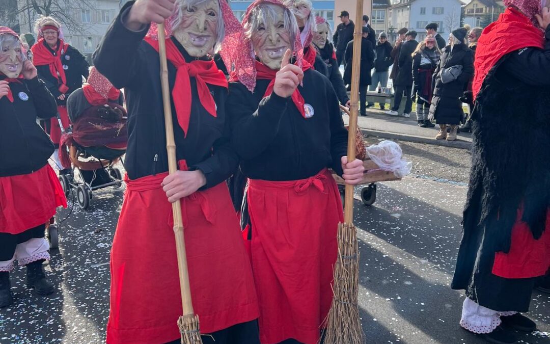 Fasnachtsumzug Gossau 26