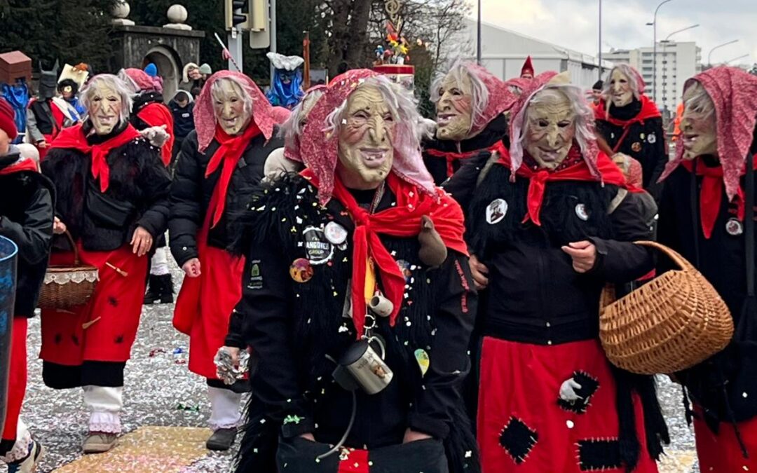 Fasnachtsumzug Wil 26