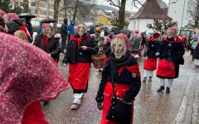 Fasnachtsumzug Schönengrund 26